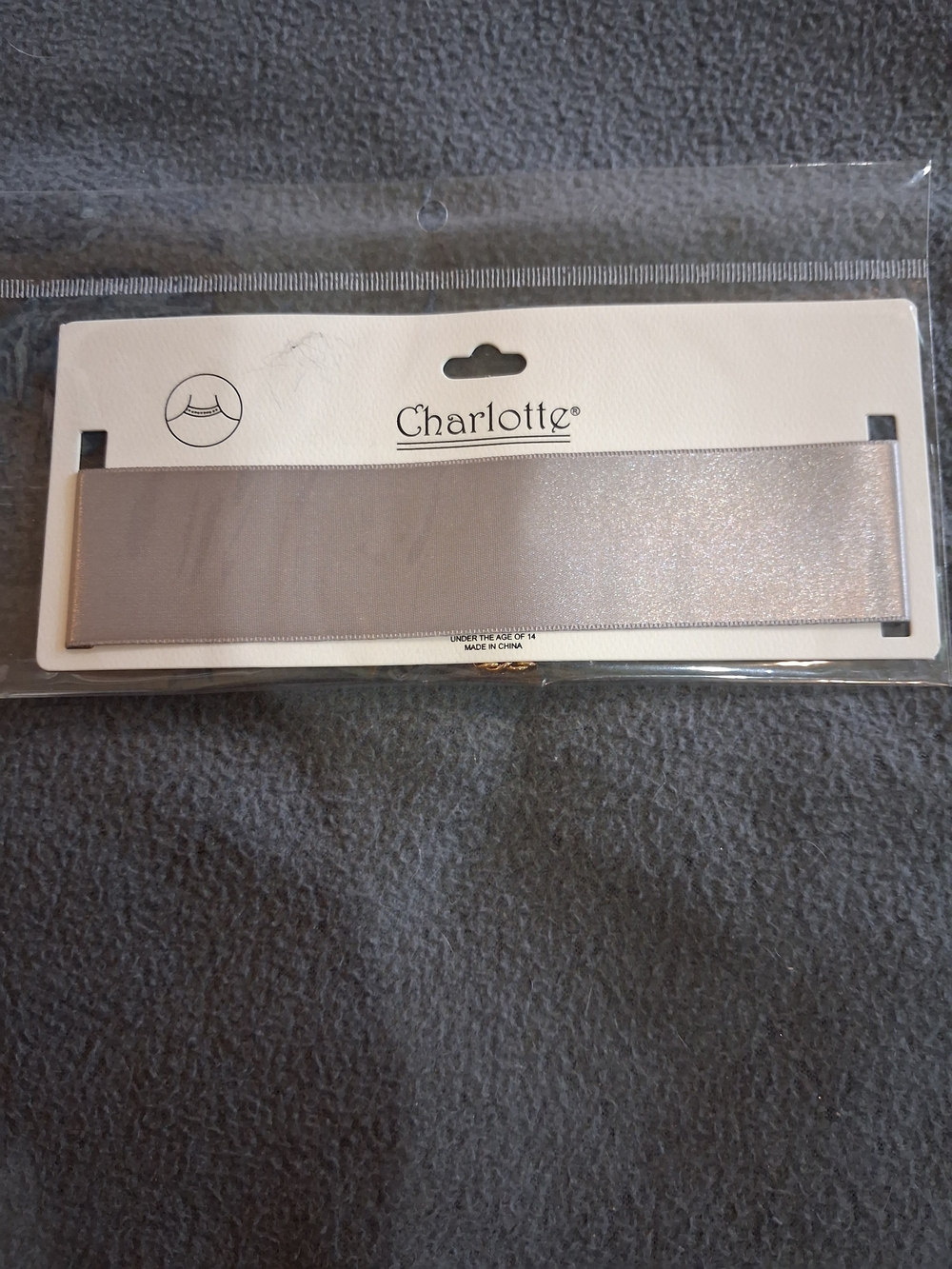 Charlotte Wide Choker Necklace in Light Silver